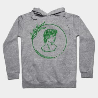 Greek sculpture (David) Hoodie